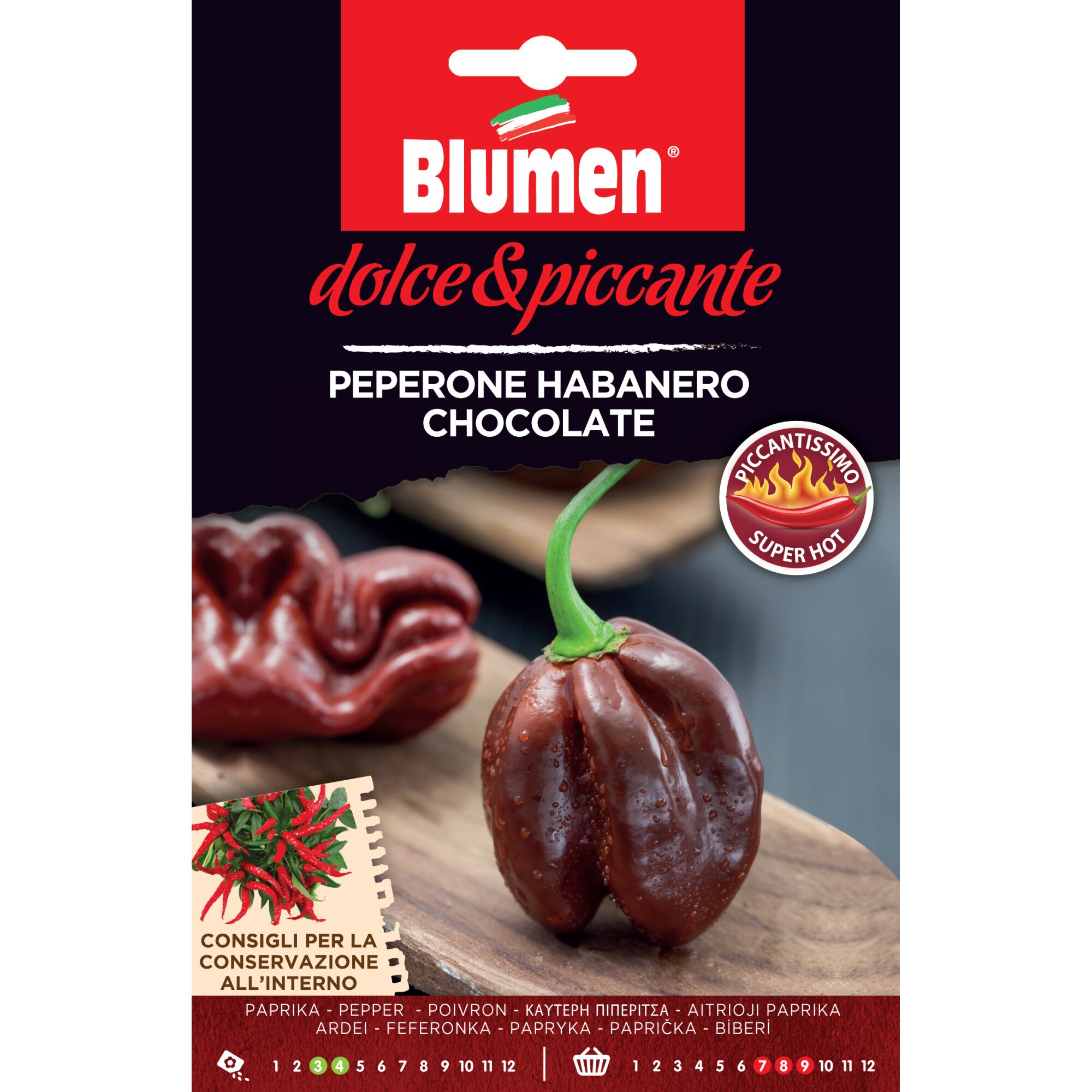 Seminte de ardei iuti premium Blumen, colectia Dolce e Piccante, soi Habanero Chocolate