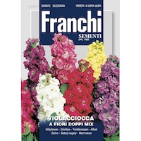 Seminte de Mixandre cu flori duble Multicolor
