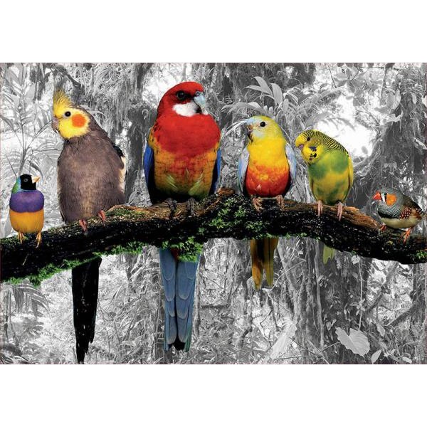Puzzle Educa - Birds of the Jungle 500 piese