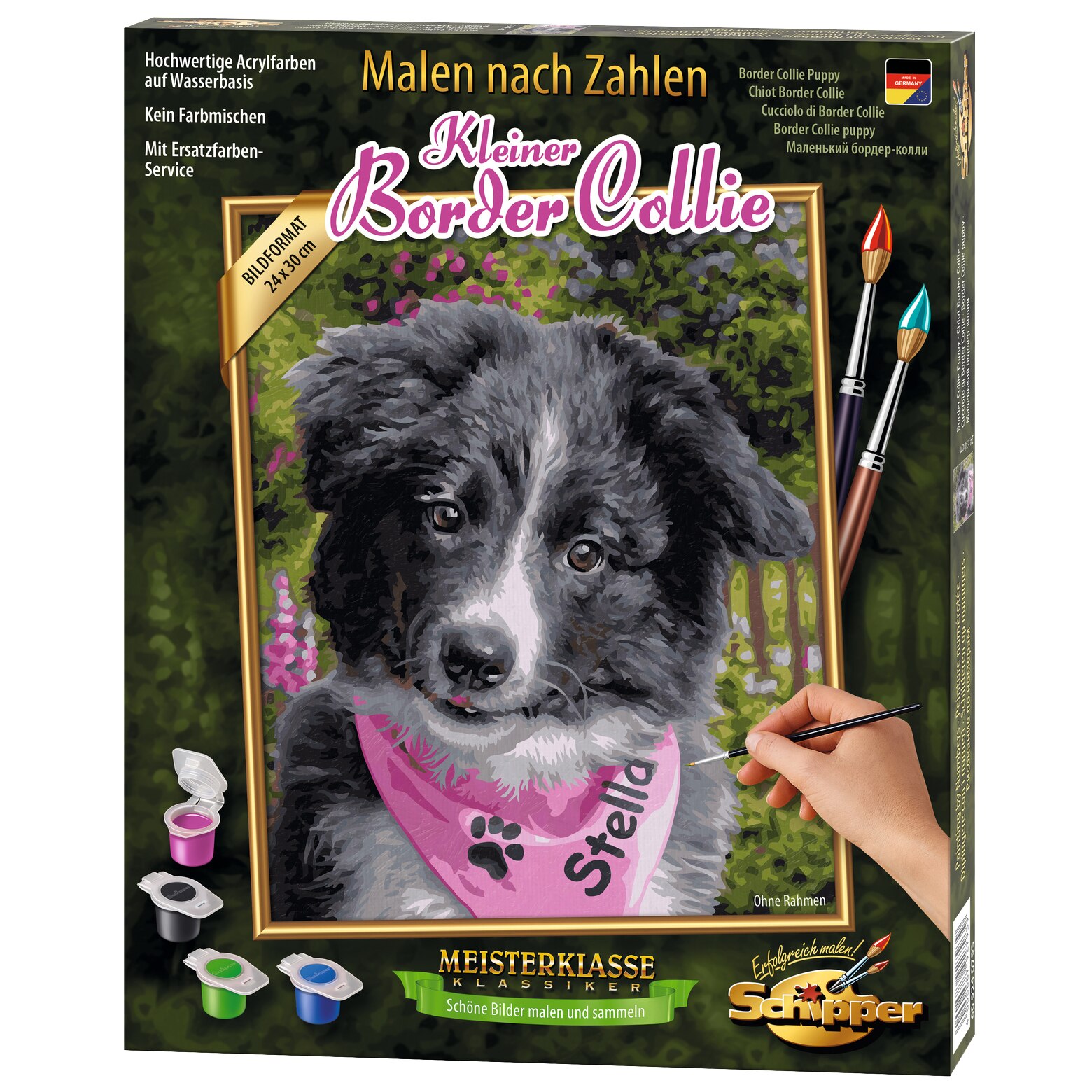 Set pictura pe numere Schipper - Border Collie Puppy, 24x30 cm