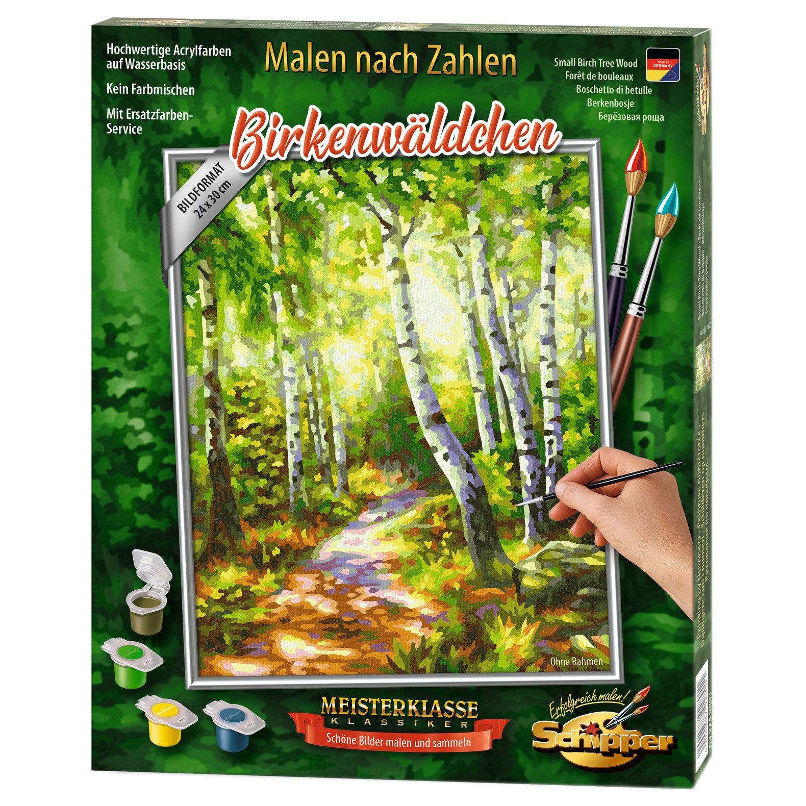 Set pictura pe numere Schipper - Birch Tree Wood, 24x30 cm