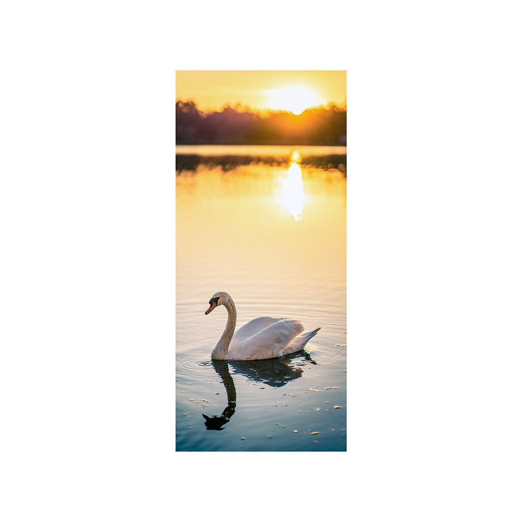 Autocolant usa Lebada pe apa, Folina, 92x205 cm