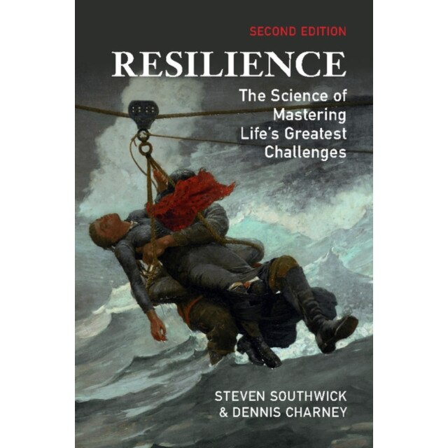 Resilience de Steven M. Southwick