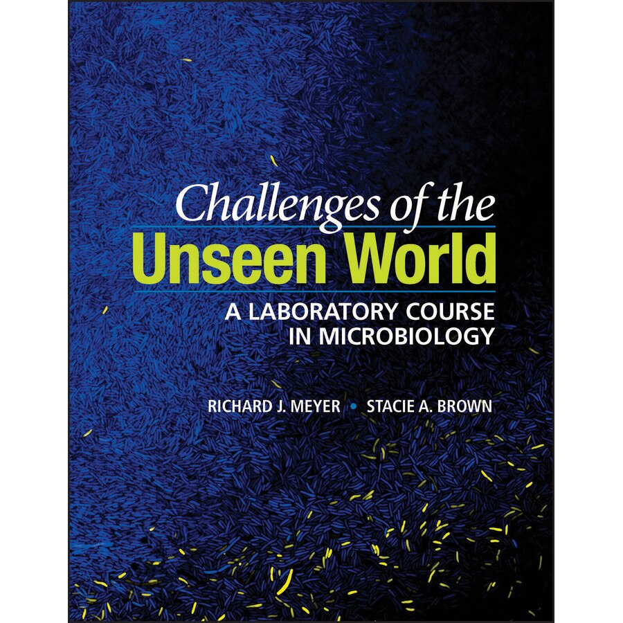 Challenges of the Unseen World de Richard J. Meyer