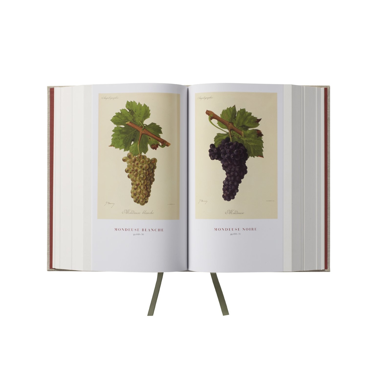 Wine Grapes de Jancis Robinson eMAG.ro