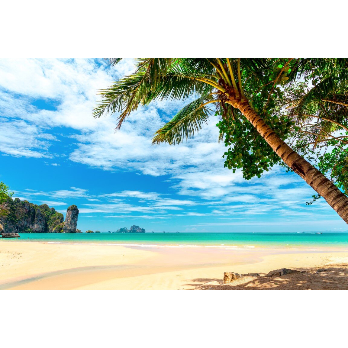 Tablou canvas Palmier17, 105 x 70 cm