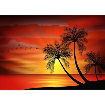 Fototapet de perete autoadeziv si lavabil Palmieri12, 270 x 200 cm Fototapet de perete autoadeziv si lavabil Palmieri12, 270 x 200 cm