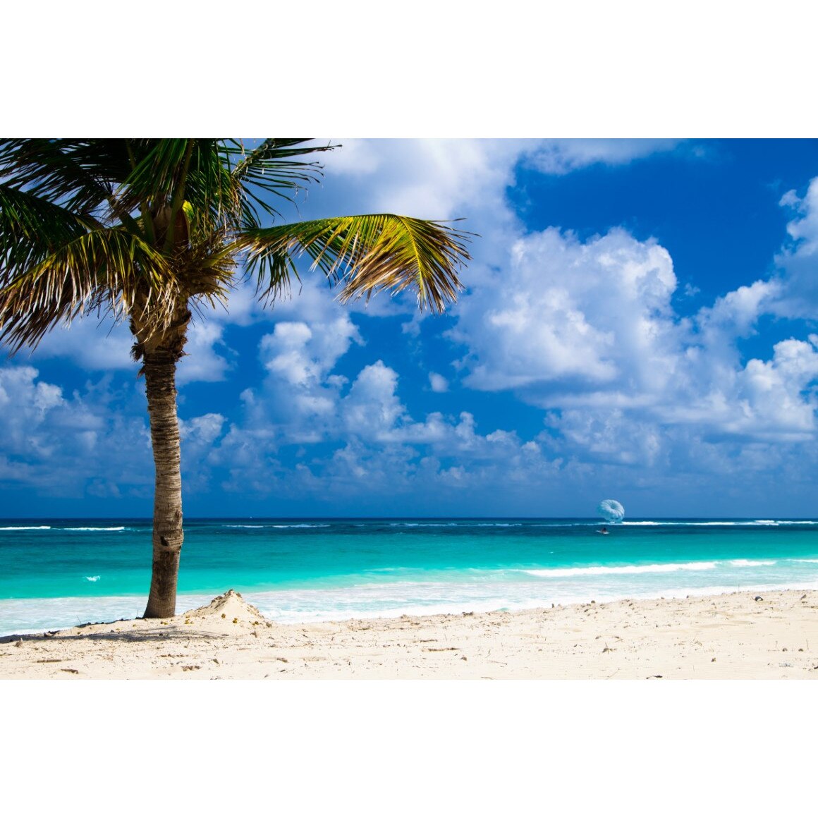 Tablou canvas Palmier20, 75 x 50 cm