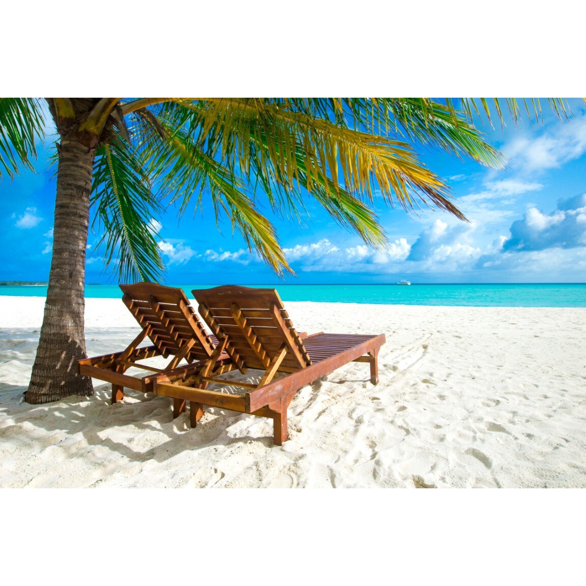 Tablou canvas Palmier27, 45 x 30 cm