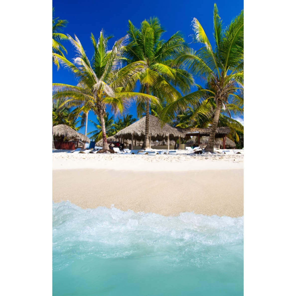 Tablou canvas Palmier21, 70 x 105 cm