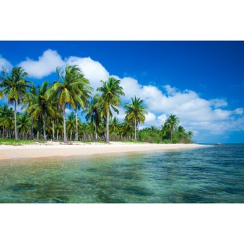 Tablou canvas Palmier18, 60 x 40 cm Tablou canvas Palmier18, 60 x 40 cm