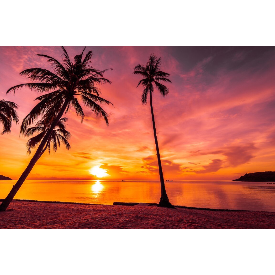 Tablou canvas Palmier26, 105 x 70 cm