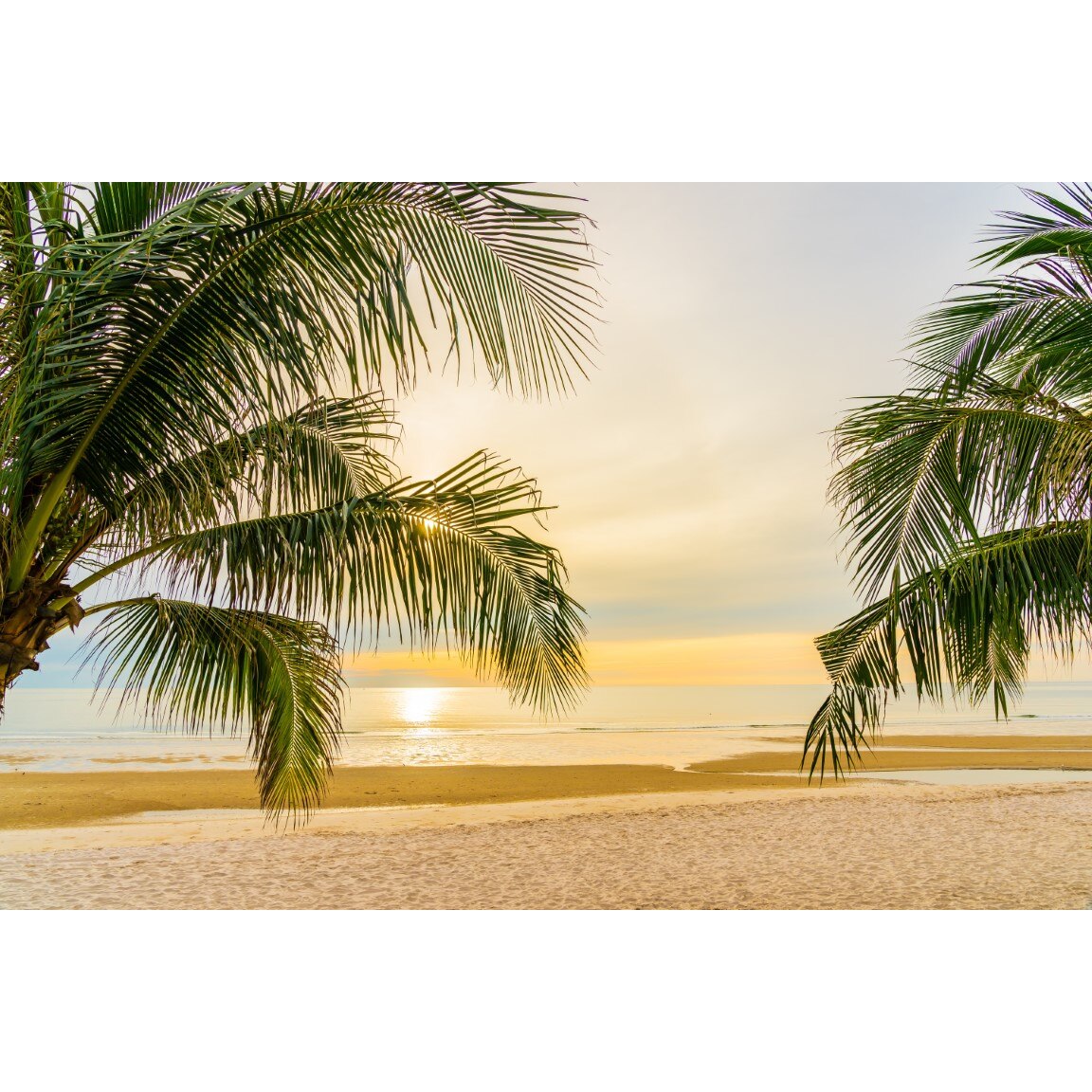 Tablou canvas Palmier37, 75 x 50 cm