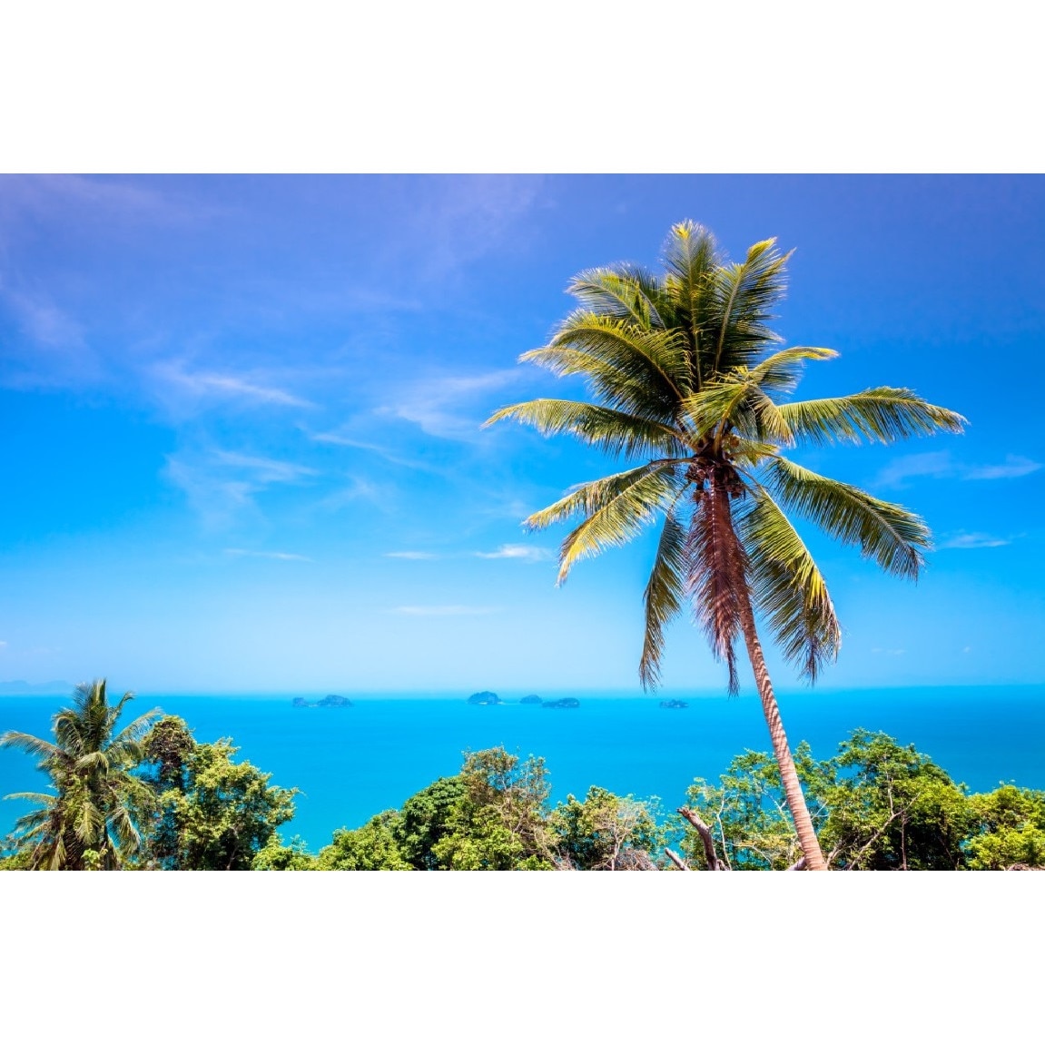 Tablou canvas Palmier32, 105 x 70 cm