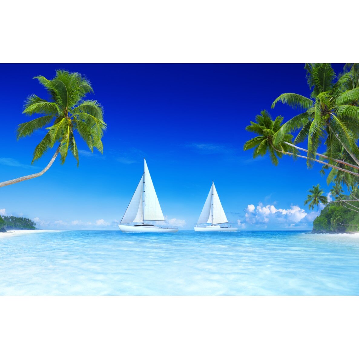 Tablou canvas Palmier41, 105 x 70 cm