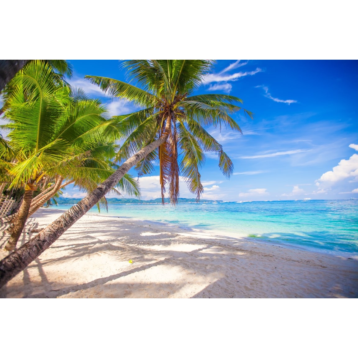 Tablou canvas Palmier36, 75 x 50 cm