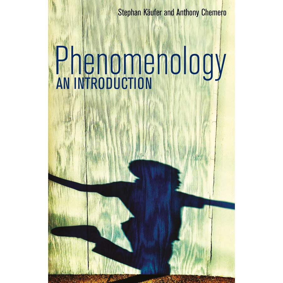 Phenomenology de Stephan Kaufer [Hardback]