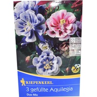 caldaruse aquilegia duo mix 3 radacini imagen 35_0_
0