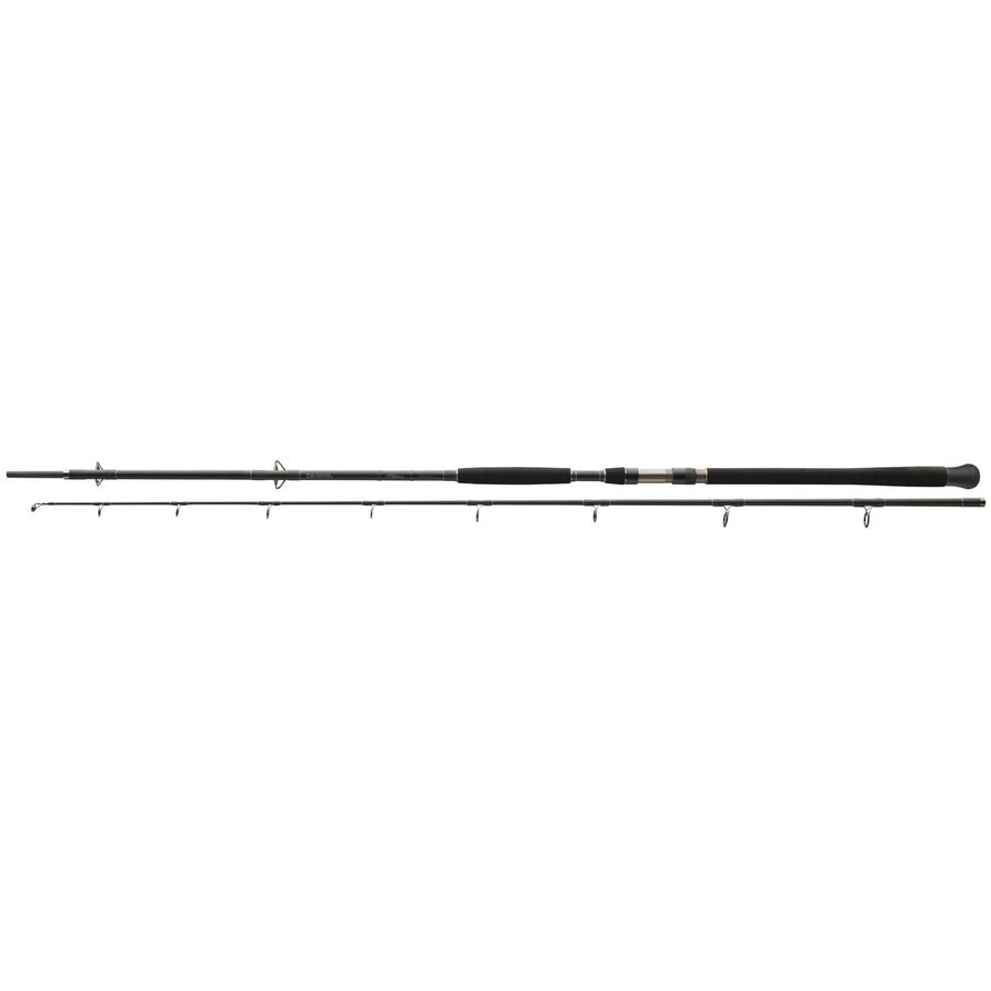 Lanseta Daiwa Exceler Catfish Spin 2.40M