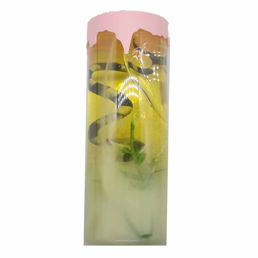 Gelatina slime Vision GSV3Ant, 300ml, format mare