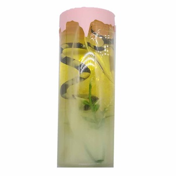 Gelatina slime Vision GSV3Ant, 300ml, format mare Gelatina slime Vision GSV3Ant, 300ml, format mare