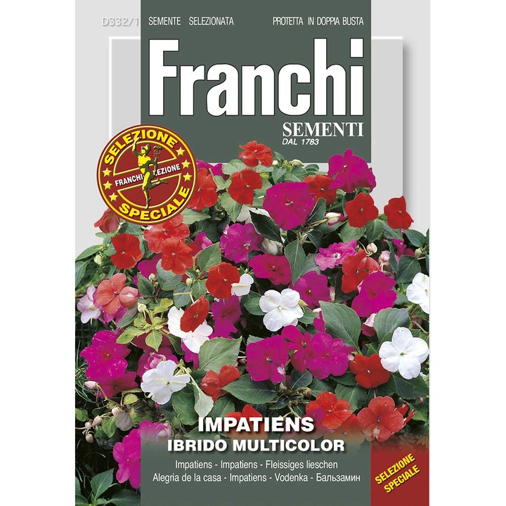 Seminte de Sporul casei hibrida Multicolor