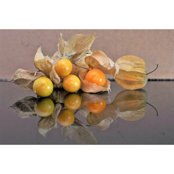 Tablou canvas Compozitie4, 60 x 40 cm Tablou canvas Compozitie4, 60 x 40 cm