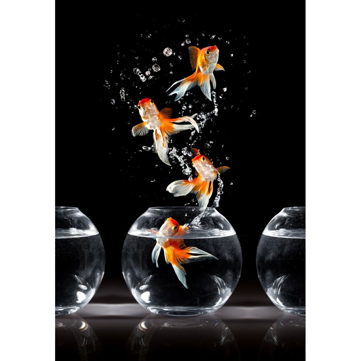 Fototapet de perete autoadeziv si lavabil Compozitie35, 135 x 225 cm