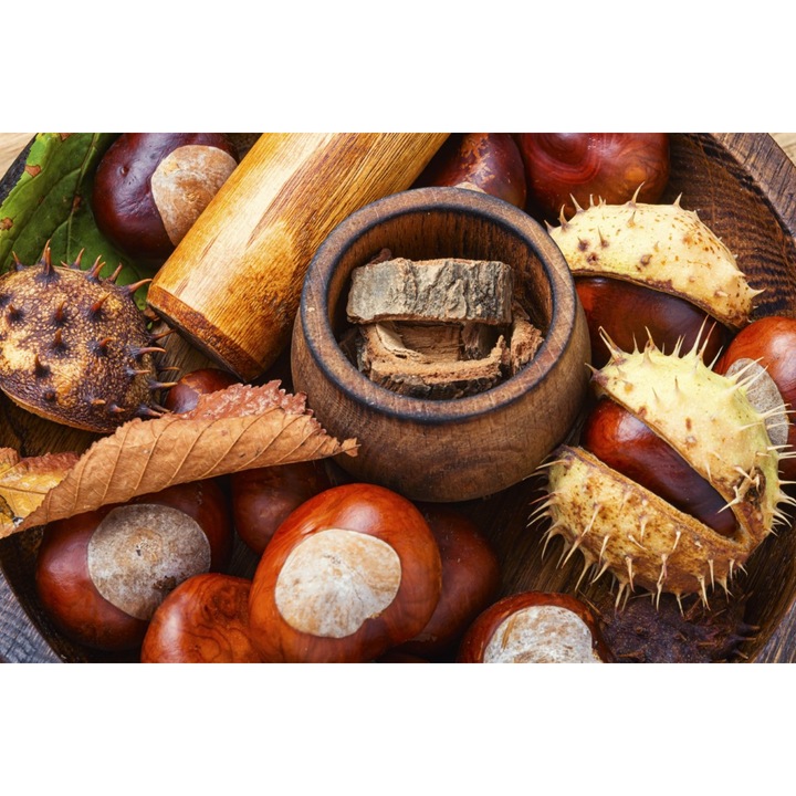 Fototapet de perete autoadeziv si lavabil Compozitie23, 350 x 250 cm