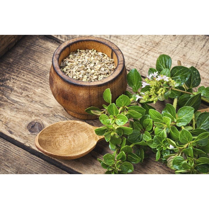 Fototapet de perete autoadeziv si lavabil Compozitie25, 400 x 250 cm