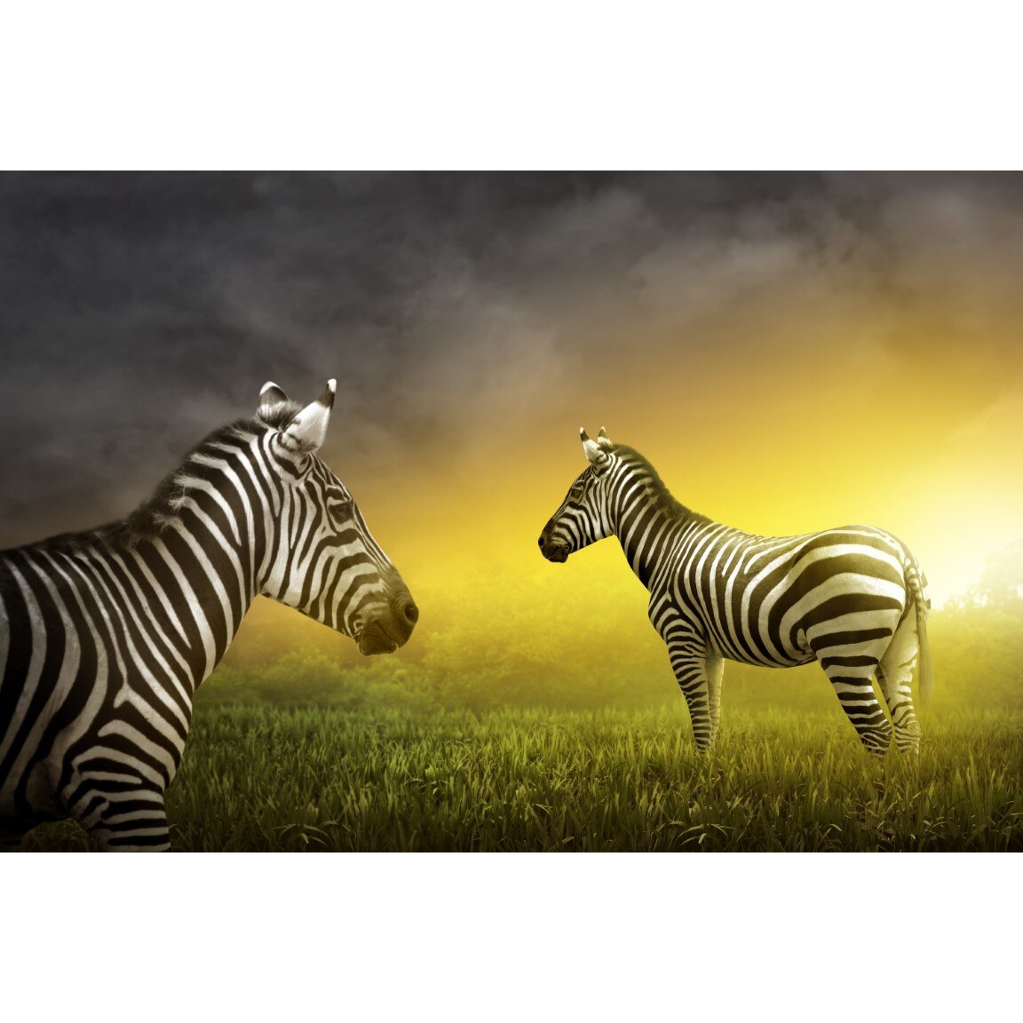 Tablou canvas Animal10, 75 x 50 cm