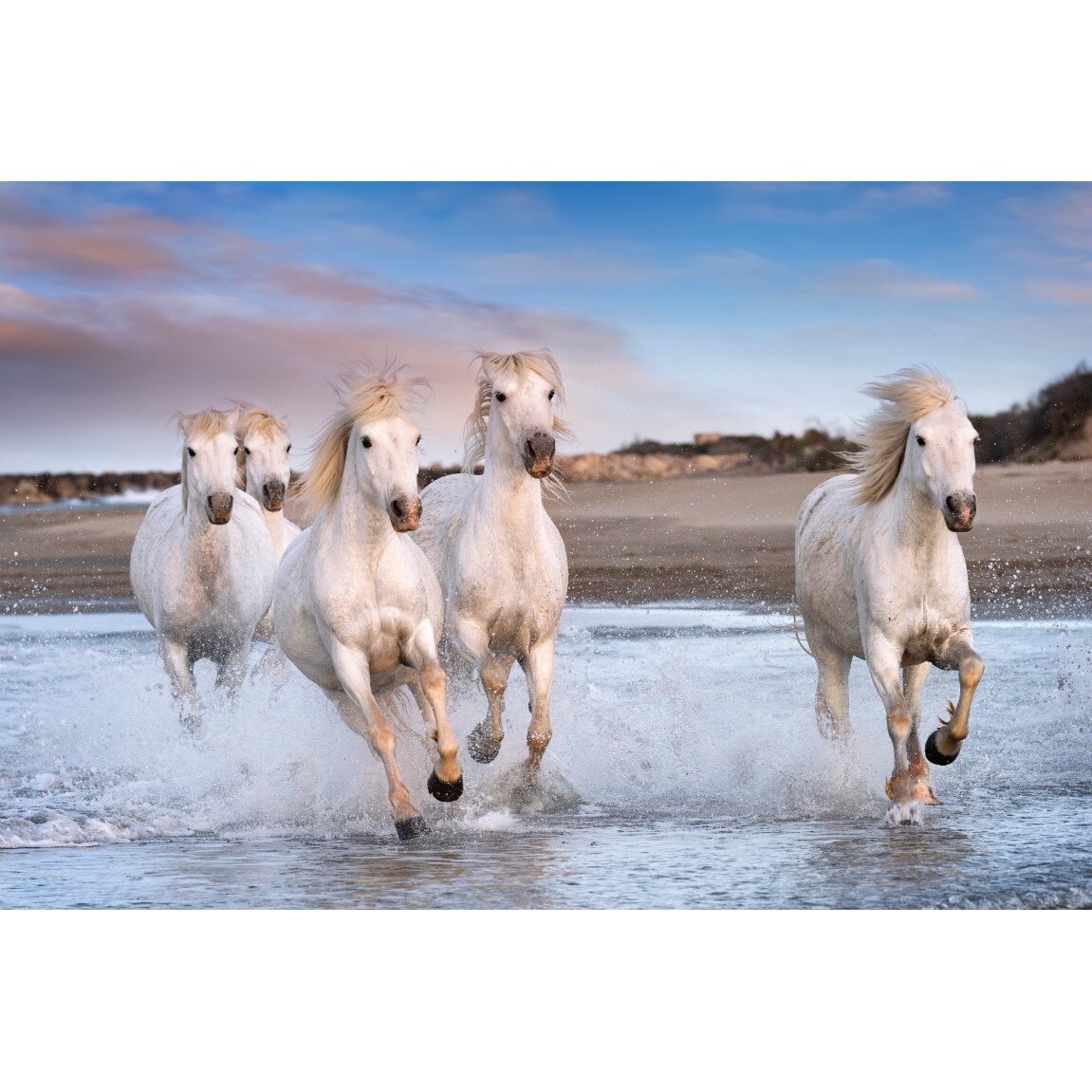 Tablou canvas Animal5, 105 x 70 cm