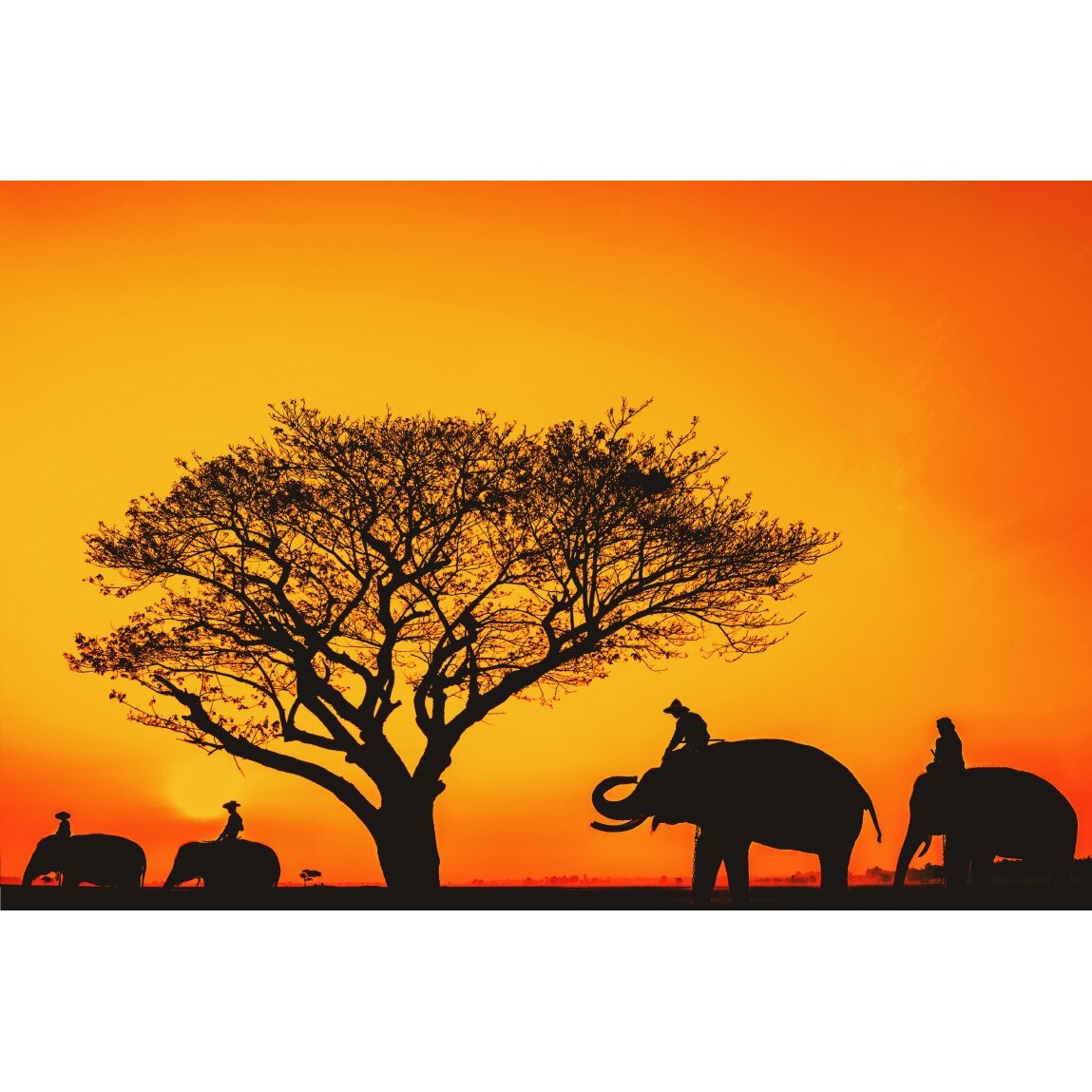 Tablou canvas Animal1, 105 x 70 cm