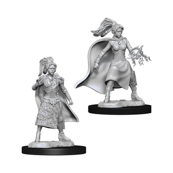 Set Figurine Dungeons And Dragons Nolzur's Unpainted Female Human Sorcerer Set Figurine Dungeons And Dragons Nolzur's Unpainted Female Human Sorcerer