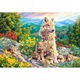 Puzzle Castorland - New Generation 1.000 piese (104420)