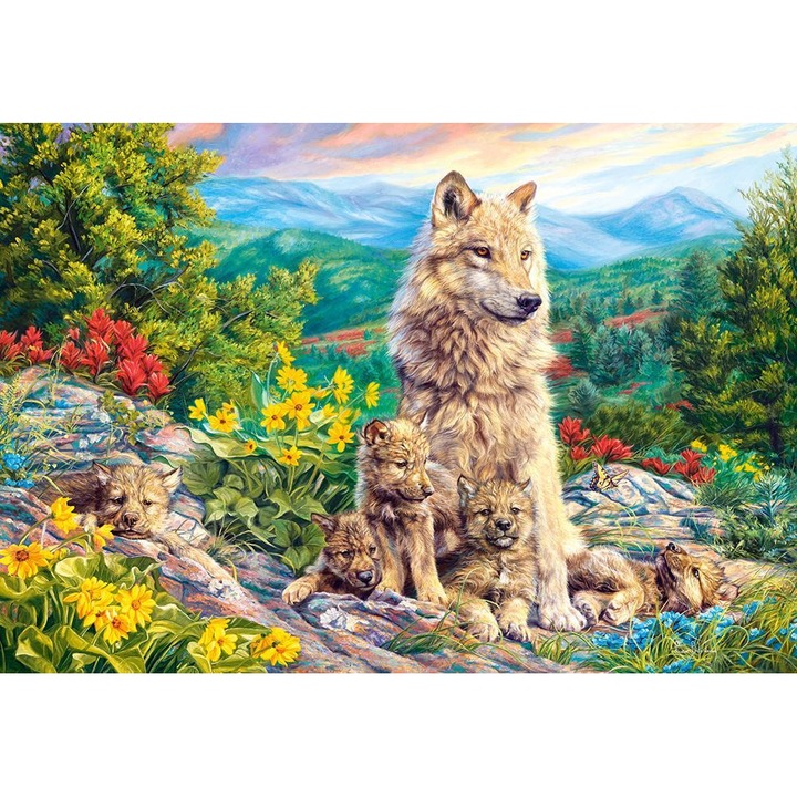 Puzzle Castorland - New Generation 1.000 piese (104420)