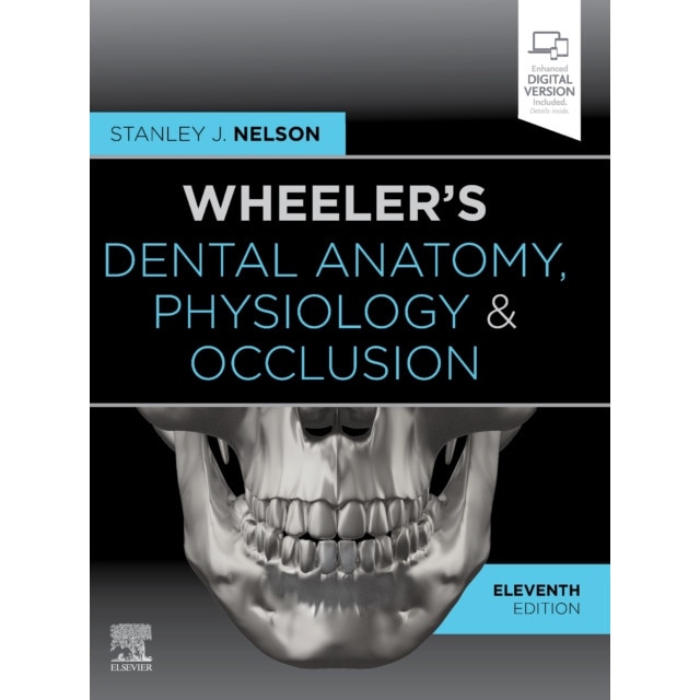 Wheeler's Dental Anatomy, Physiology and Occlusion de Stanley J. Nelson [Carte Hardback]