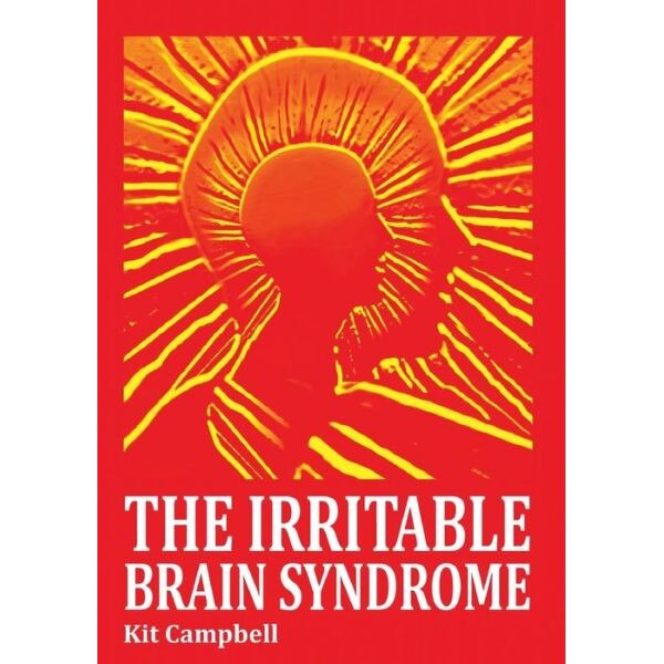 The Irritable Brain Syndrome de Kit Campbell