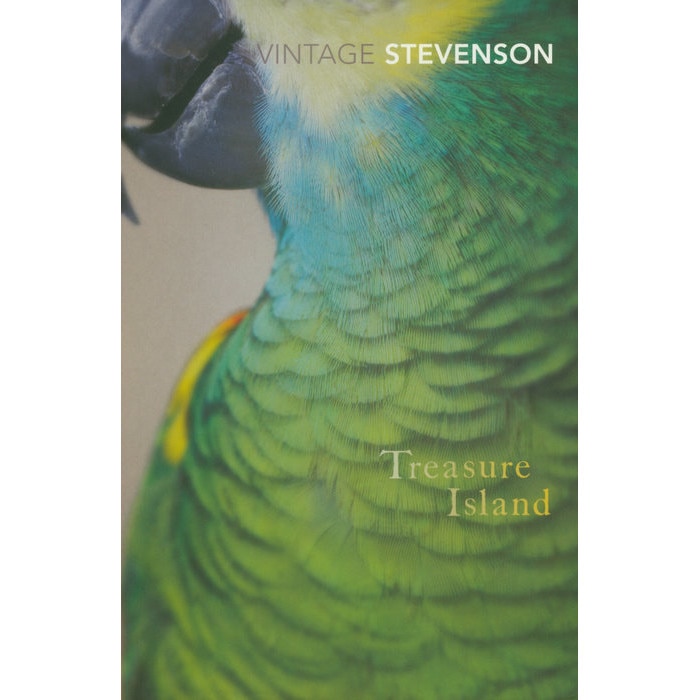 Treasure Island de Robert Louis Stevenson [Paperback] 6/11/08