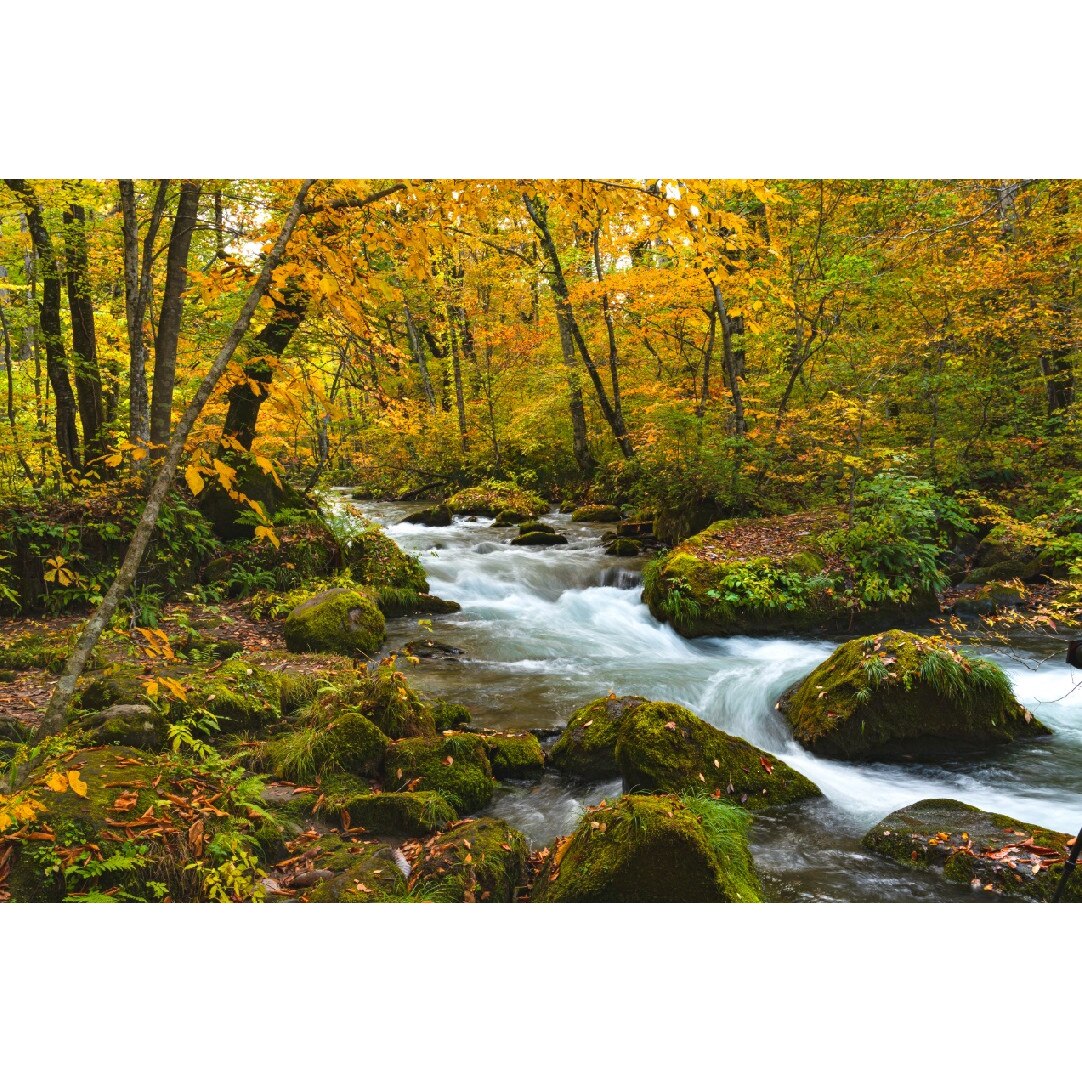 Tablou canvas Cascada12, 60 x 40 cm