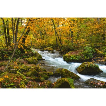 Tablou canvas Cascada12, 75 x 50 cm Tablou canvas Cascada12, 75 x 50 cm