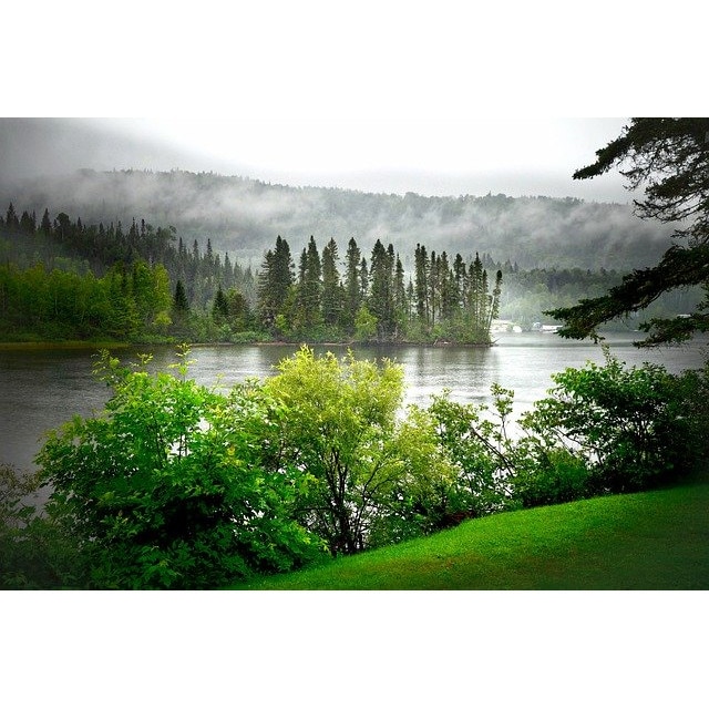 Tablou din canvas dimensiunea 55x85cm Peisaj Vara Natura