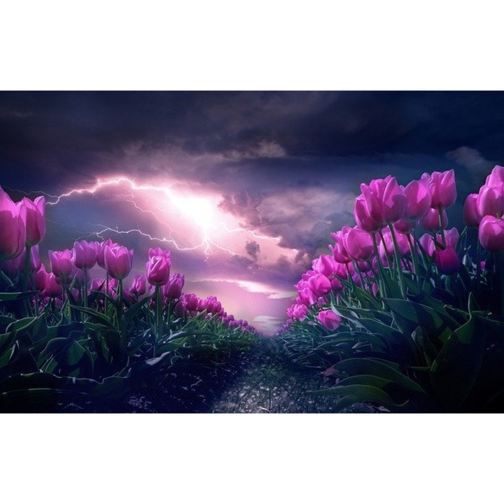 Tablou din canvas dimensiunea 55x85cm Peisaj Lalele