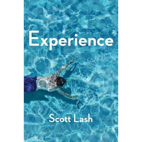 Experience de Scott Lash [Hardback]