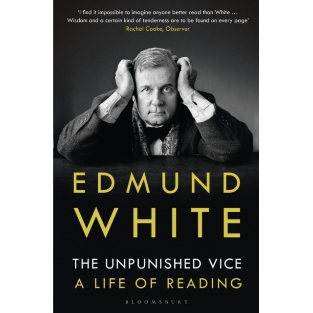 The Unpunished Vice de Edmund White [Paperback]