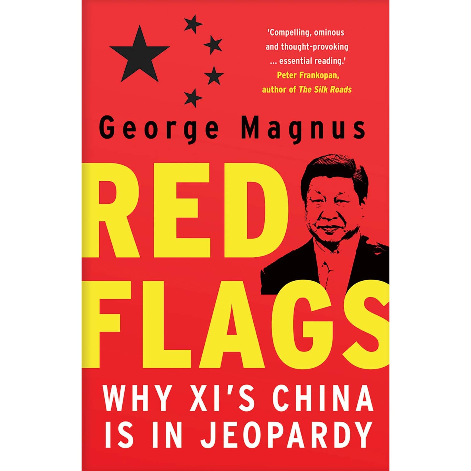 Red Flags de George Magnus [Paperback]
