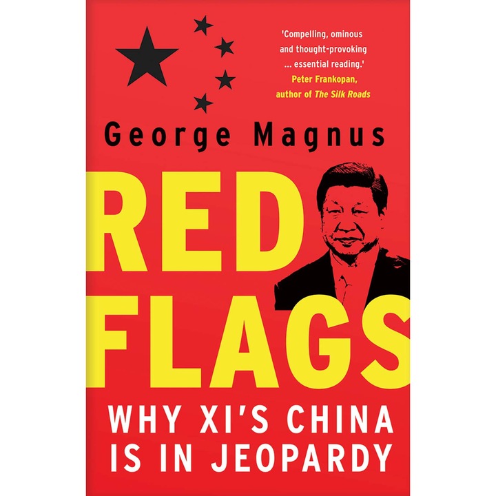 Red Flags de George Magnus [Paperback]