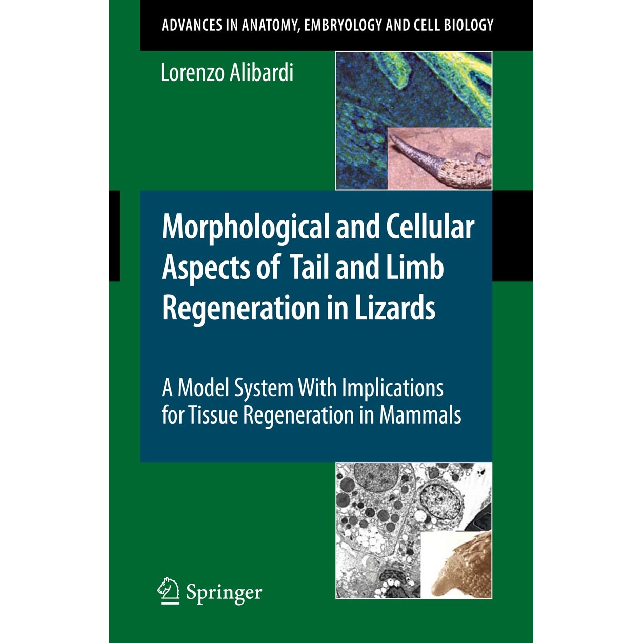 Morphological and Cellular Aspects of Tail and Limb Regeneration in Lizards de Lorenzo Alibardi