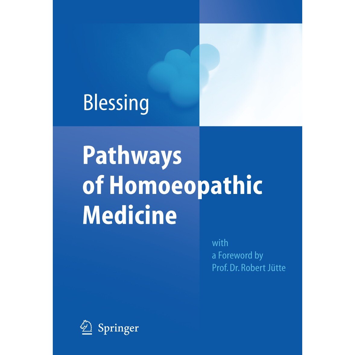 Pathways of Homoeopathic Medicine de Bettina Blessing