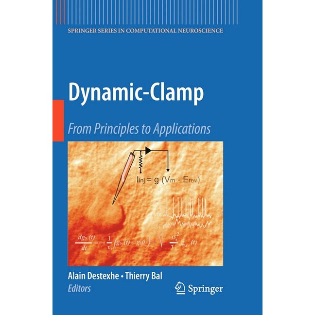 Dynamic-Clamp de Alain Destexhe
